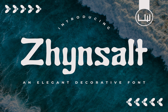Elevate Your Craft with Zhynsalt: A Bold Display Font for Makers
